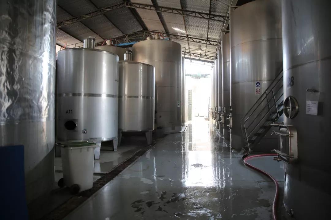 傲鱼葡萄酒酿造全过程